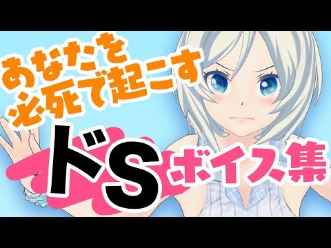 【音量注意】萌えボイスで起こしてくれるセリフ集【078】